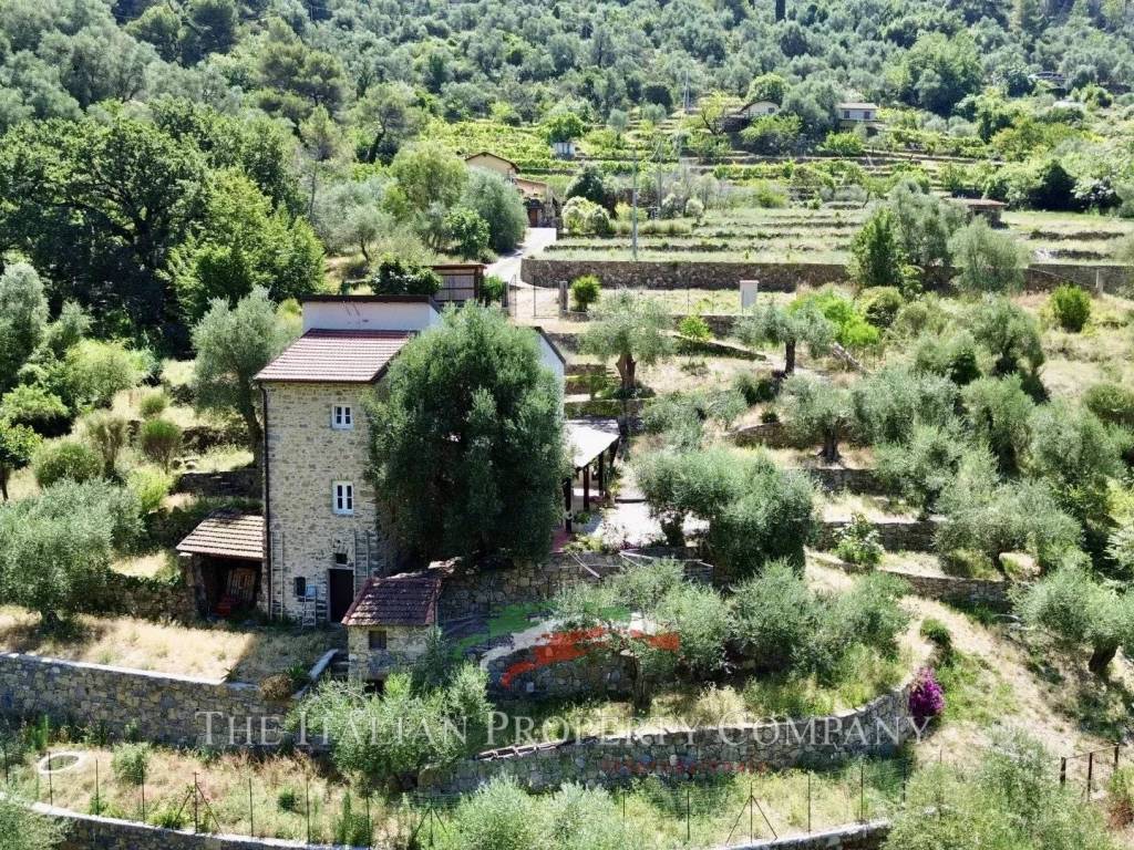 Villa a Vallebona in Strada Madonna della Neve, 22 - Foto 3