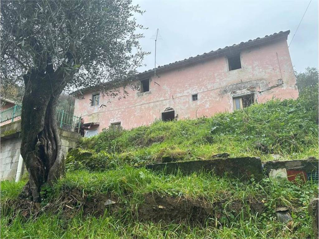 Rustico / casale a Pieve a nievole in Via Poggio alla Guardia - Foto 3