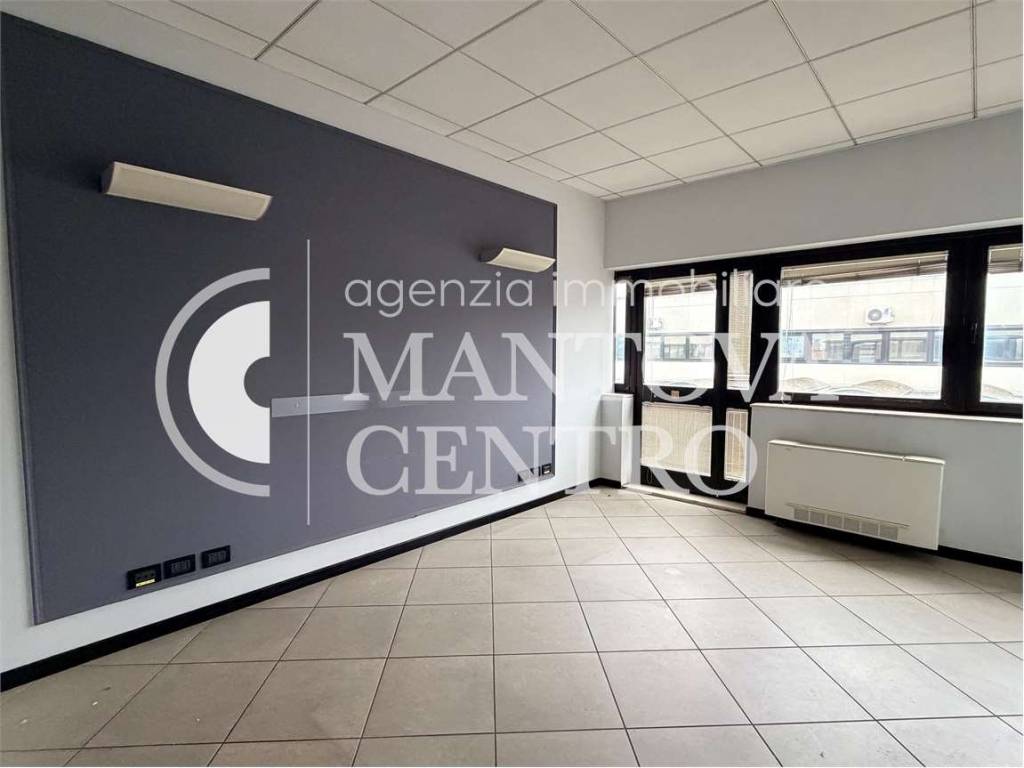 Immobile a Mantova in STRADA CHIESANUOVA - Foto 5