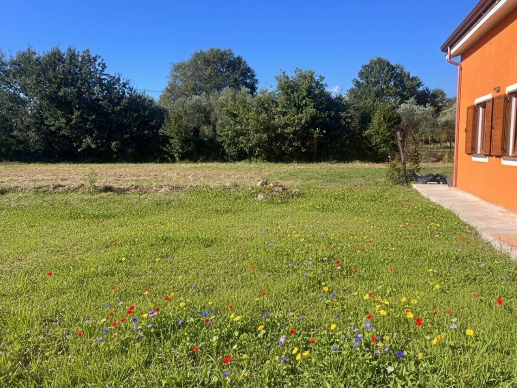 Villa a Santo stefano di magra in Via Roma - Foto 2