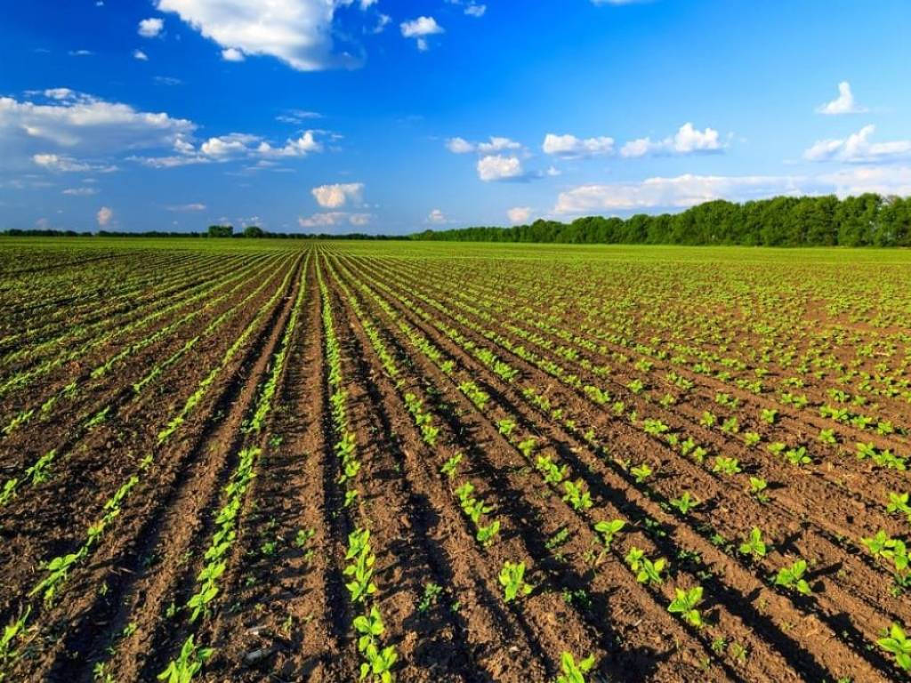 Terreno a Dalmine in Via Cimaripa - Foto 2