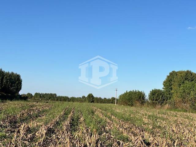 Terreno a Albignasego in via Mascagni - Foto 5