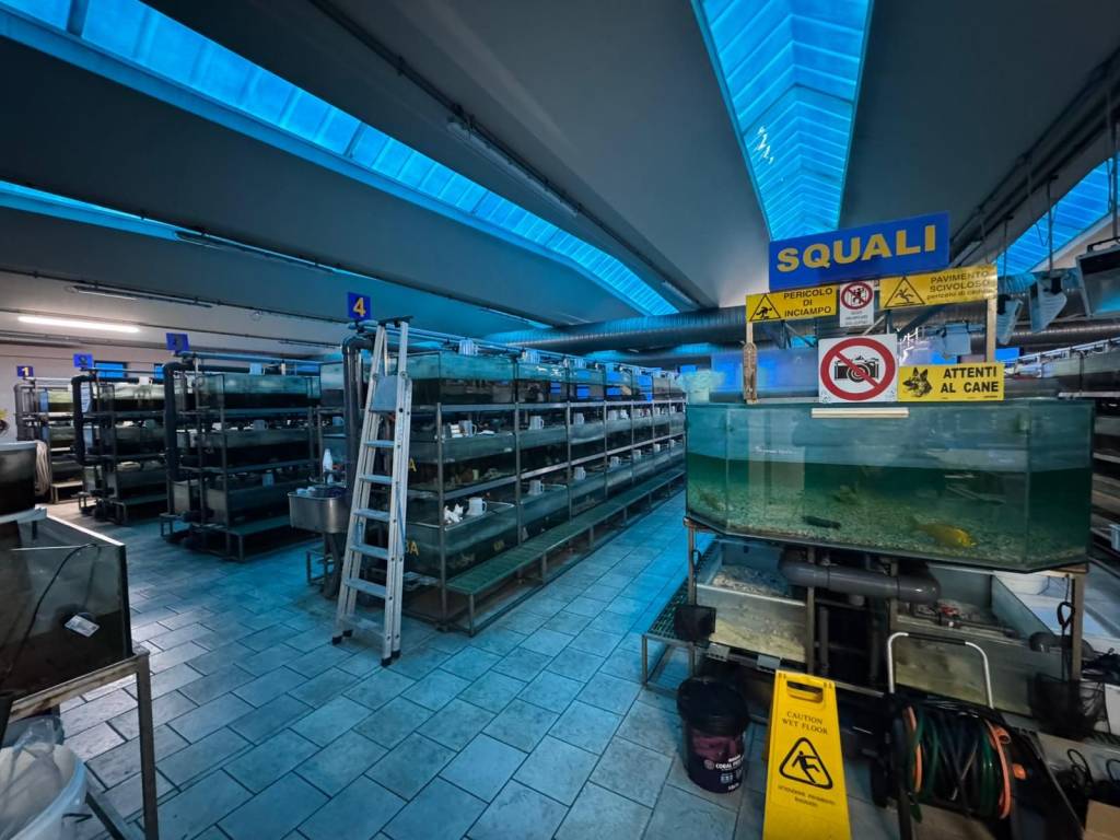 Immobile a Gallarate in Via Vittorio Arconti, 11 - Foto 4