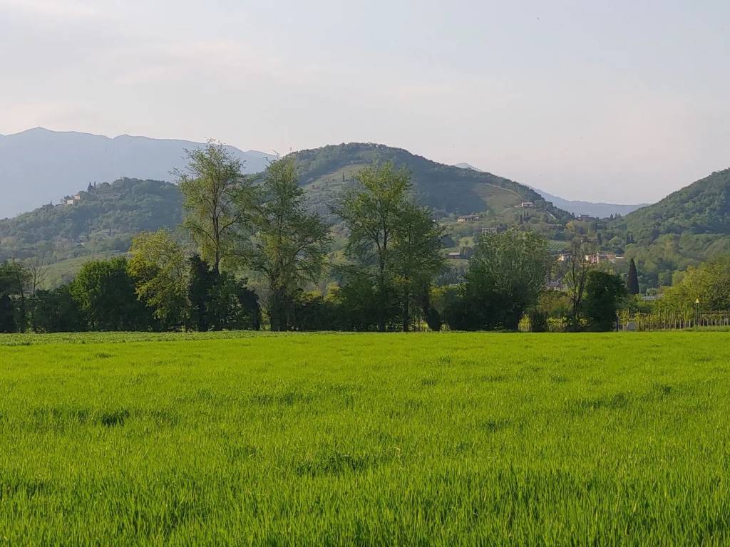 Terreno a Maser in Urb. Madonna Della Salute Maser - Foto 3