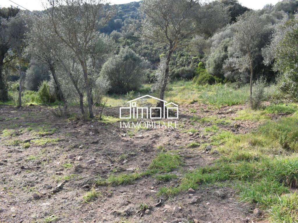 Terreno a Loiri porto san paolo in Via Logudoro - Foto 4