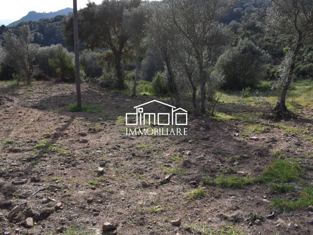Terreno a Loiri porto san paolo in Via Logudoro - Foto 5