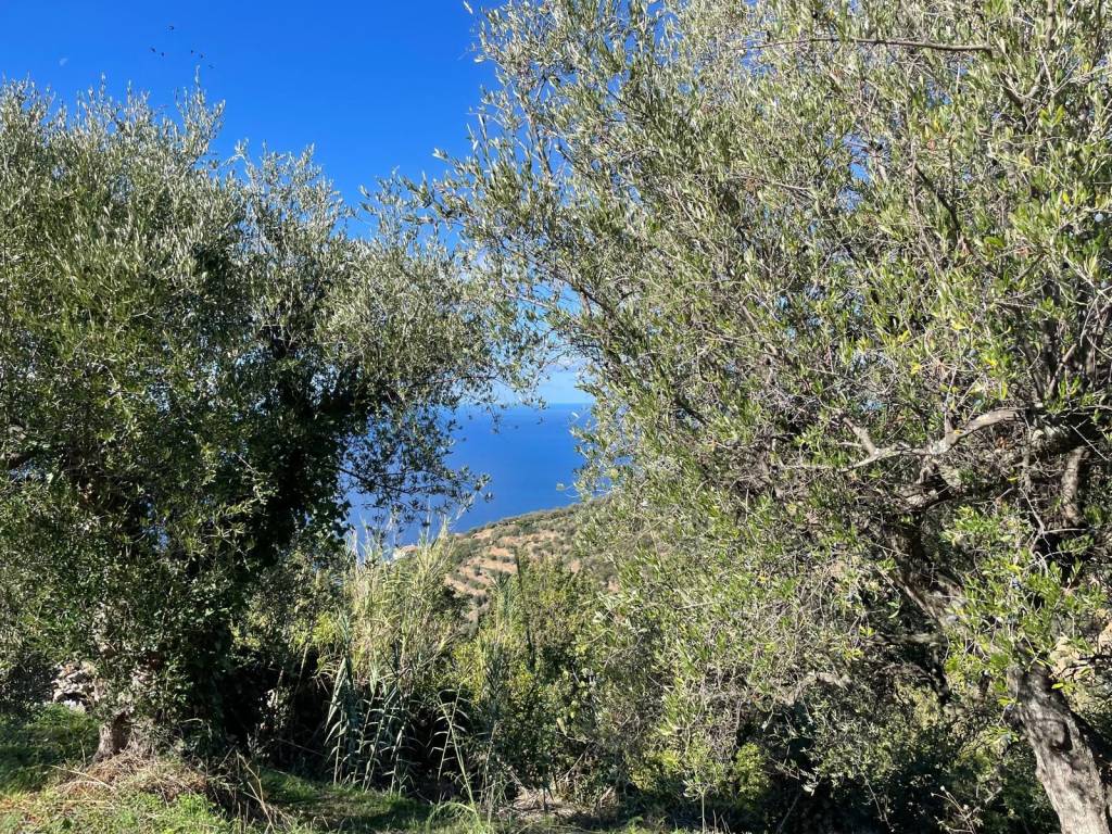 Casa indipendente a Gioiosa marea in Contrada Santo Stefano - Foto 3