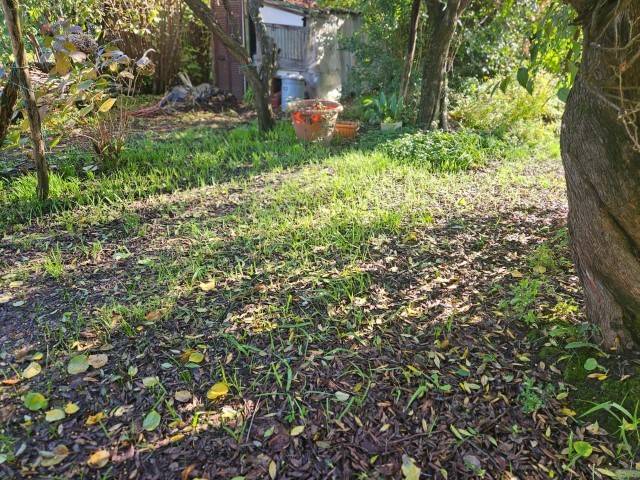 Villa a Sarzana in Via Del Corso, 10 - Foto 4