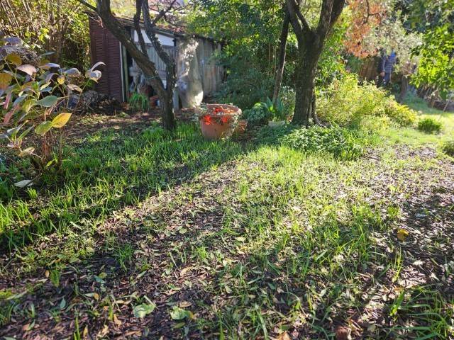 Villa a Sarzana in Via Del Corso, 10 - Foto 5