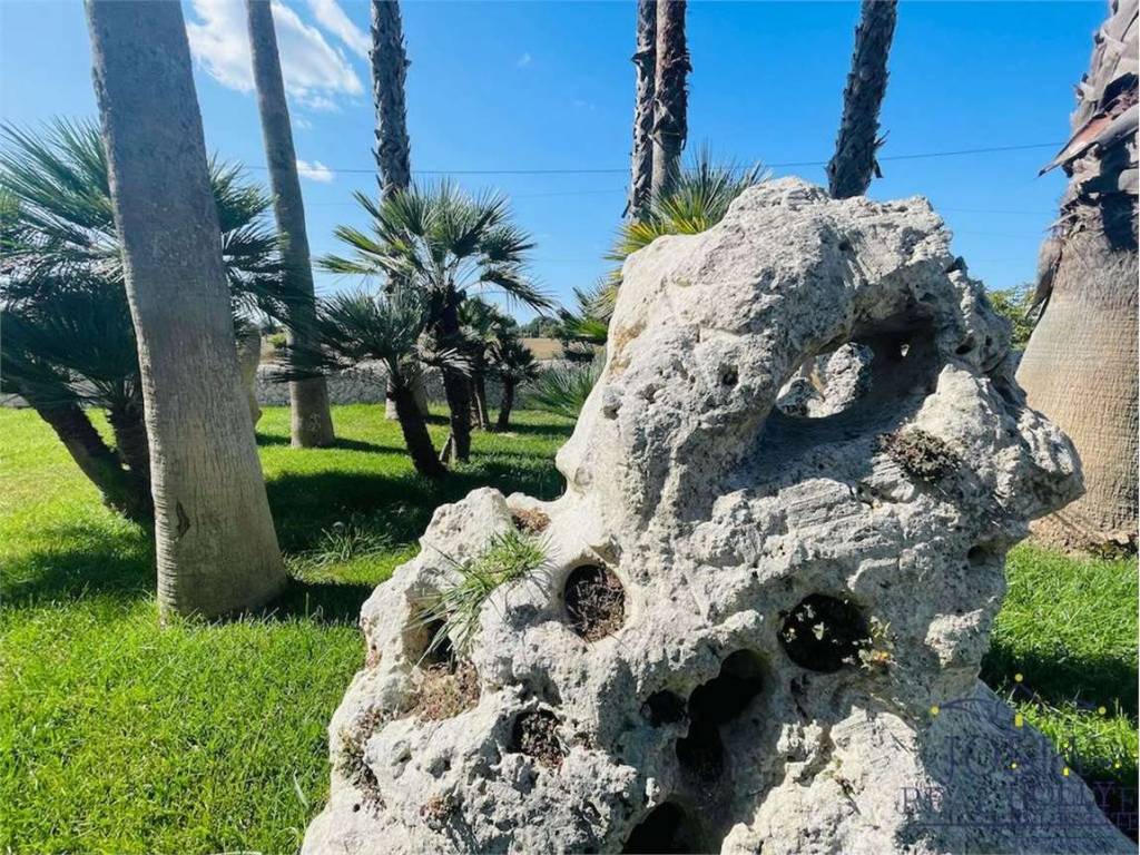 Rustico / casale a Noto in SP 24, 0 - Foto 5