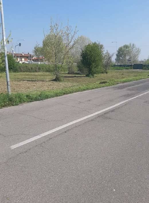 Terreno a Gessate in Via Mazzini, 40 - Foto 5