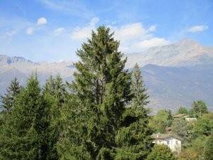 Appartamento a Gravere in Via Runa, 24 - Foto 3