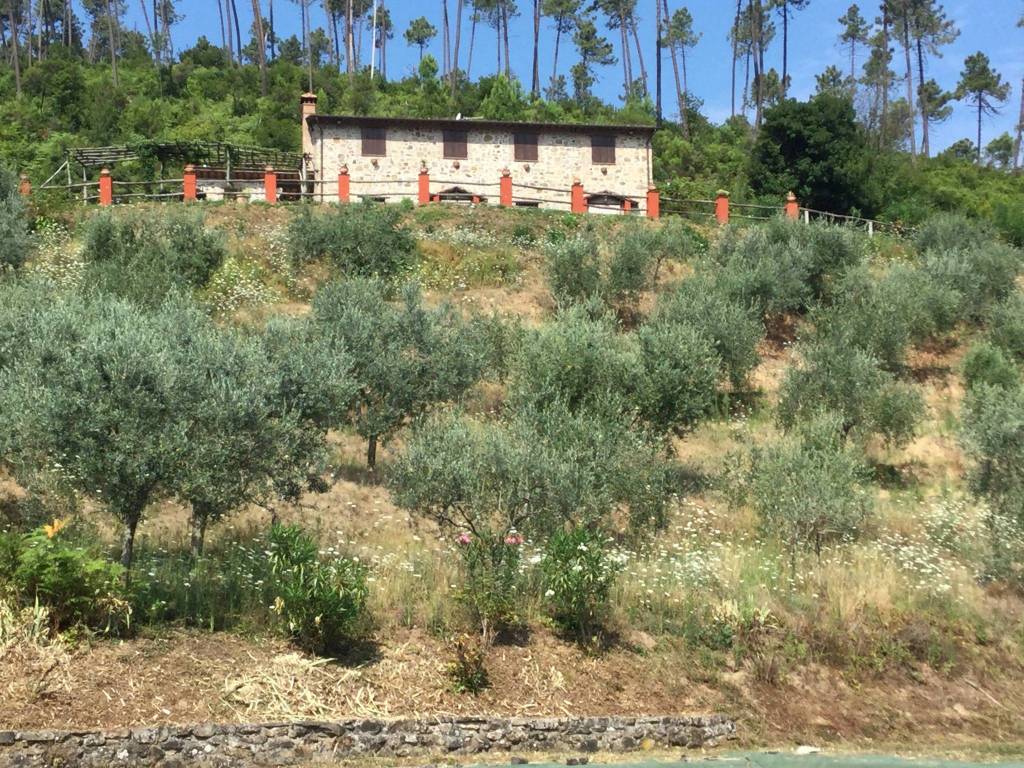 Villa a Buti in Buti - Foto 3