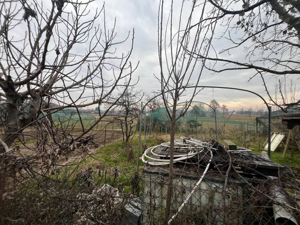 Terreno a Bosconero in Vicolo Gatti - Foto 2