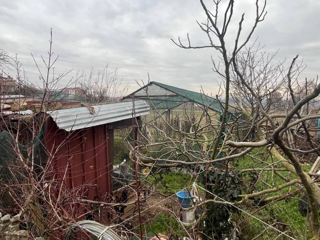 Terreno a Bosconero in Vicolo Gatti - Foto 4