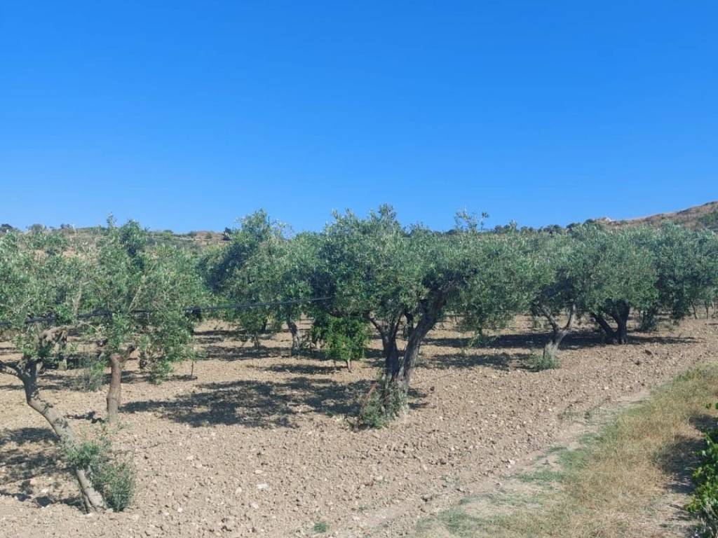Terreno a Cattolica eraclea in Sp30 11 - Foto 3