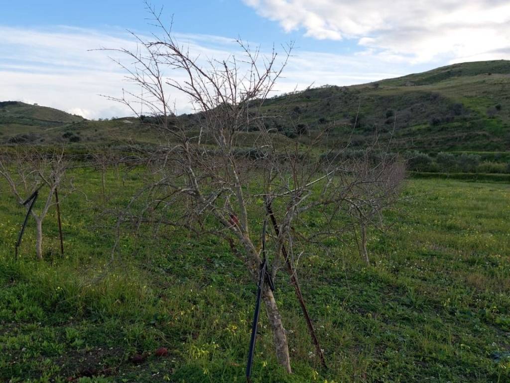 Terreno a Cattolica eraclea in Strada Provinciale Sp 30 - Foto 3