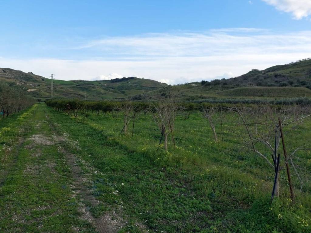 Terreno a Cattolica eraclea in Strada Provinciale Sp 30 - Foto 4