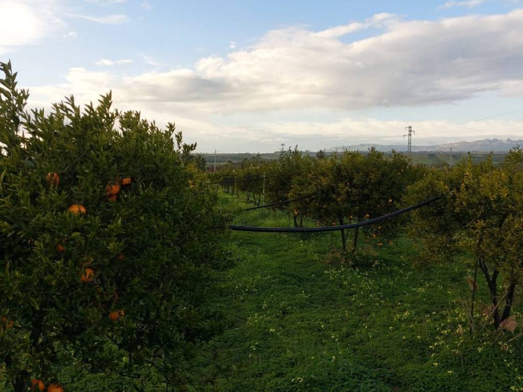 Terreno a Cattolica eraclea in Strada Provinciale Sp 30 - Foto 5