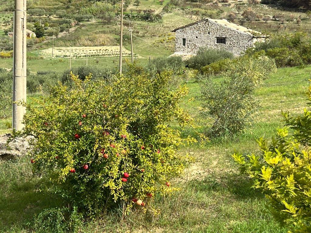 Villa a Cattolica eraclea in Contrada Monaca - Foto 3