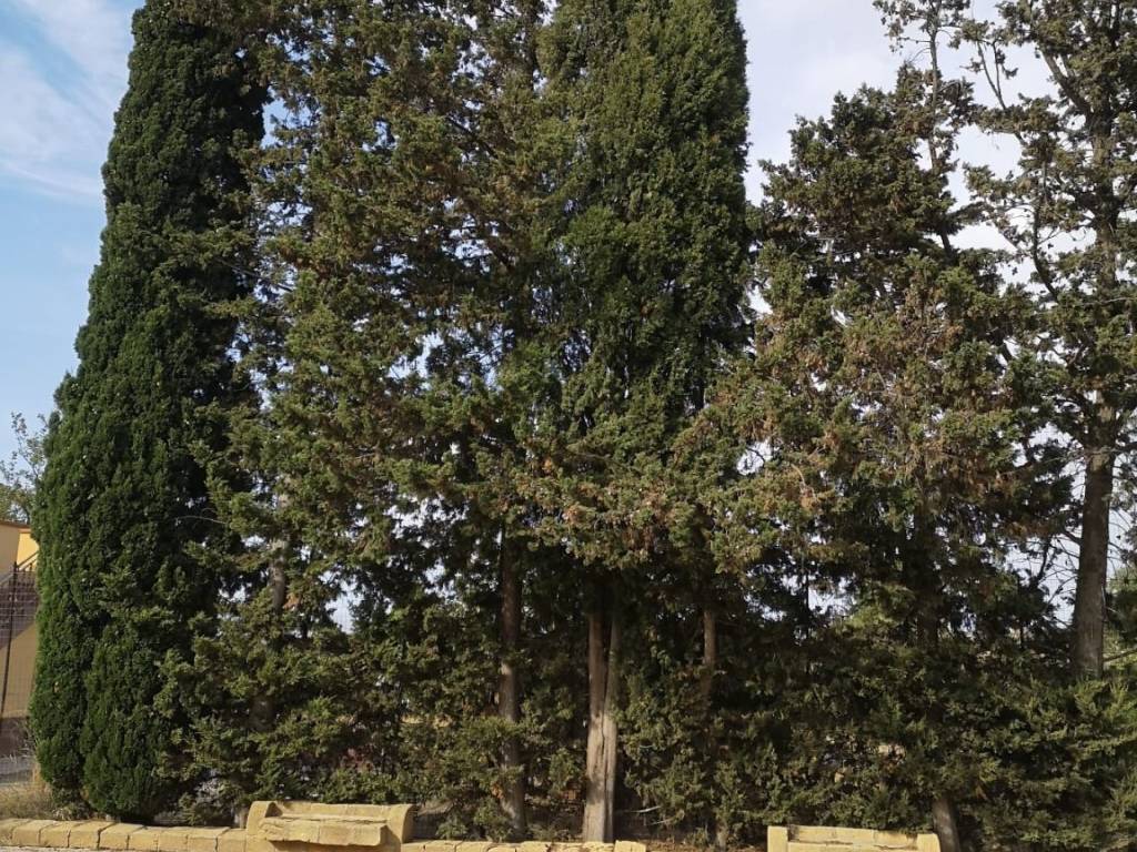 Villa a Cattolica eraclea in Strada Provinciale 30 - Foto 3