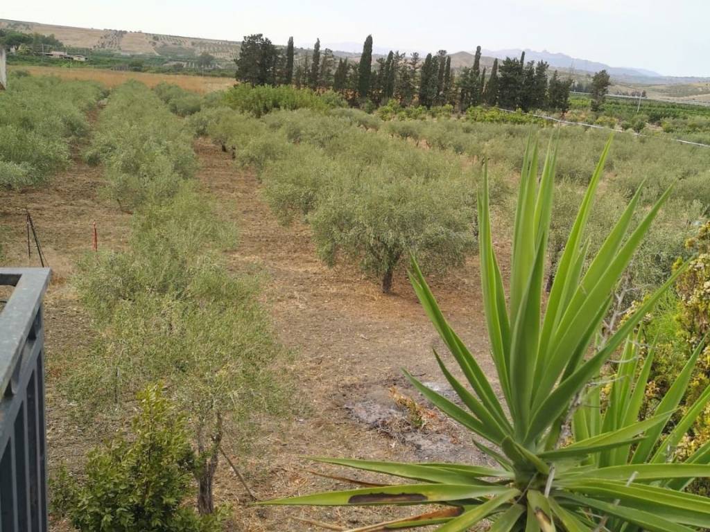 Villa a Cattolica eraclea in Strada Provinciale 30 - Foto 5