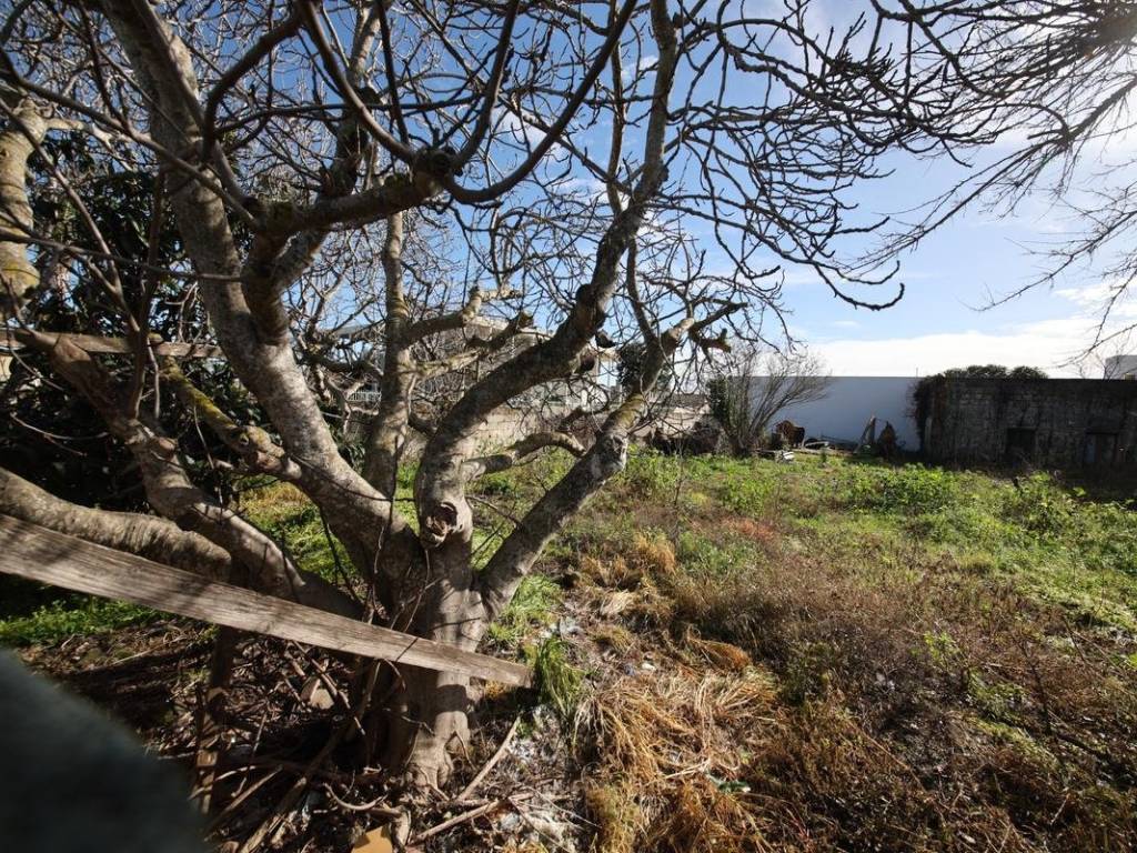 Terreno a Mesagne in Via Brindisi, 146 - Foto 4