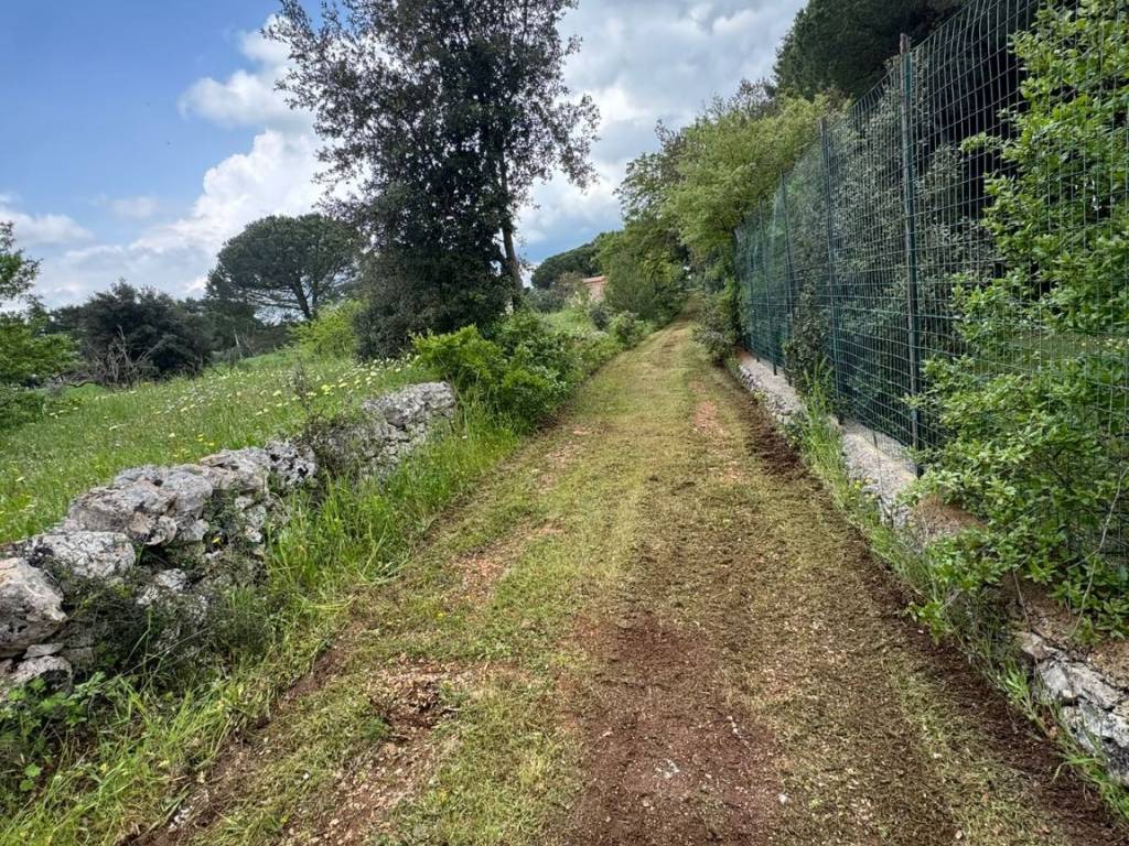 Rustico / casale a Martina franca in Strada Porcile Palesi Zona F No Number - Foto 4