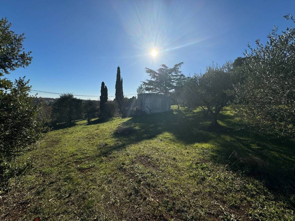 Rustico / casale a Martina franca in Strada Porcile Palesi Zona F, 56 - Foto 4