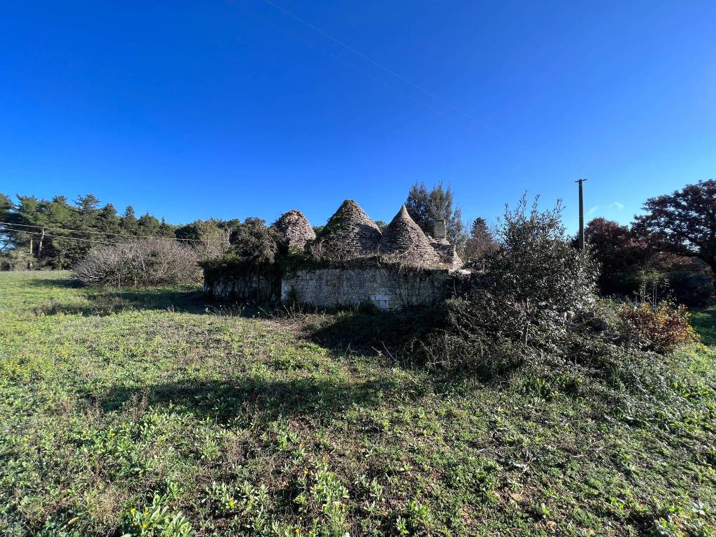 Rustico / casale a Martina franca in Contrada Tre Piantelle No Number - Foto 3