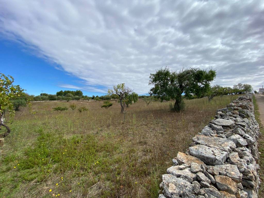Rustico / casale a Martina franca - Foto 3