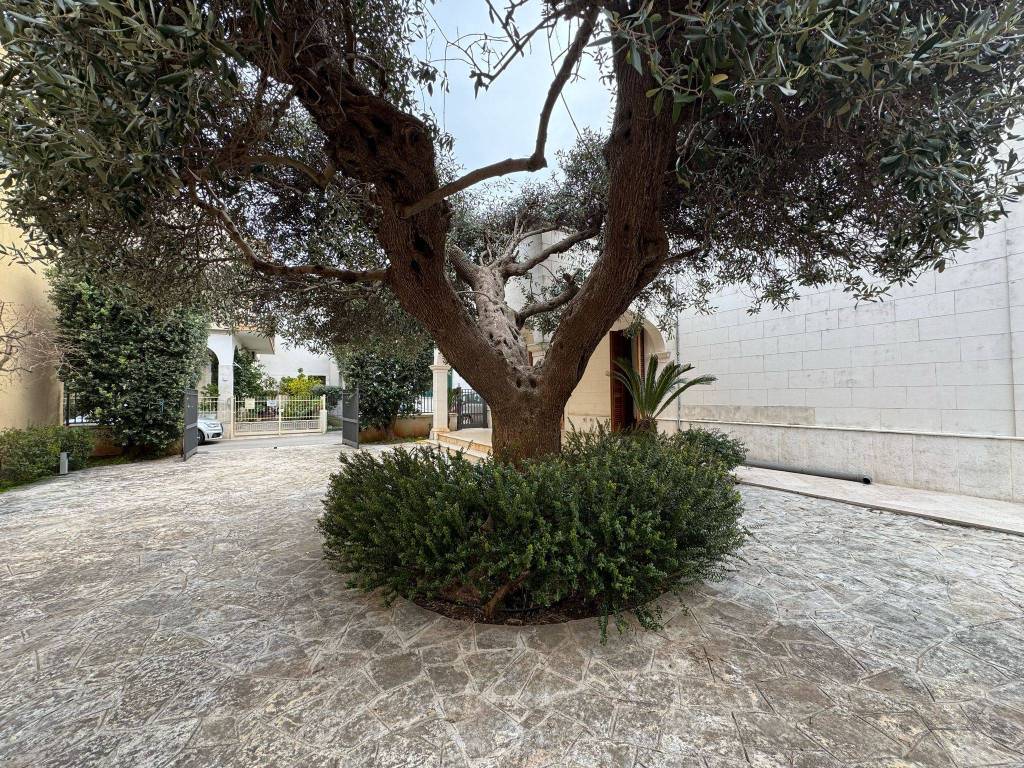 Villa a Fasano in Via Spaventa - Foto 5