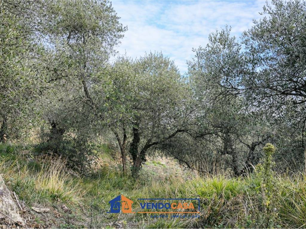 Terreno a Imperia in Via della Torre - Foto 5