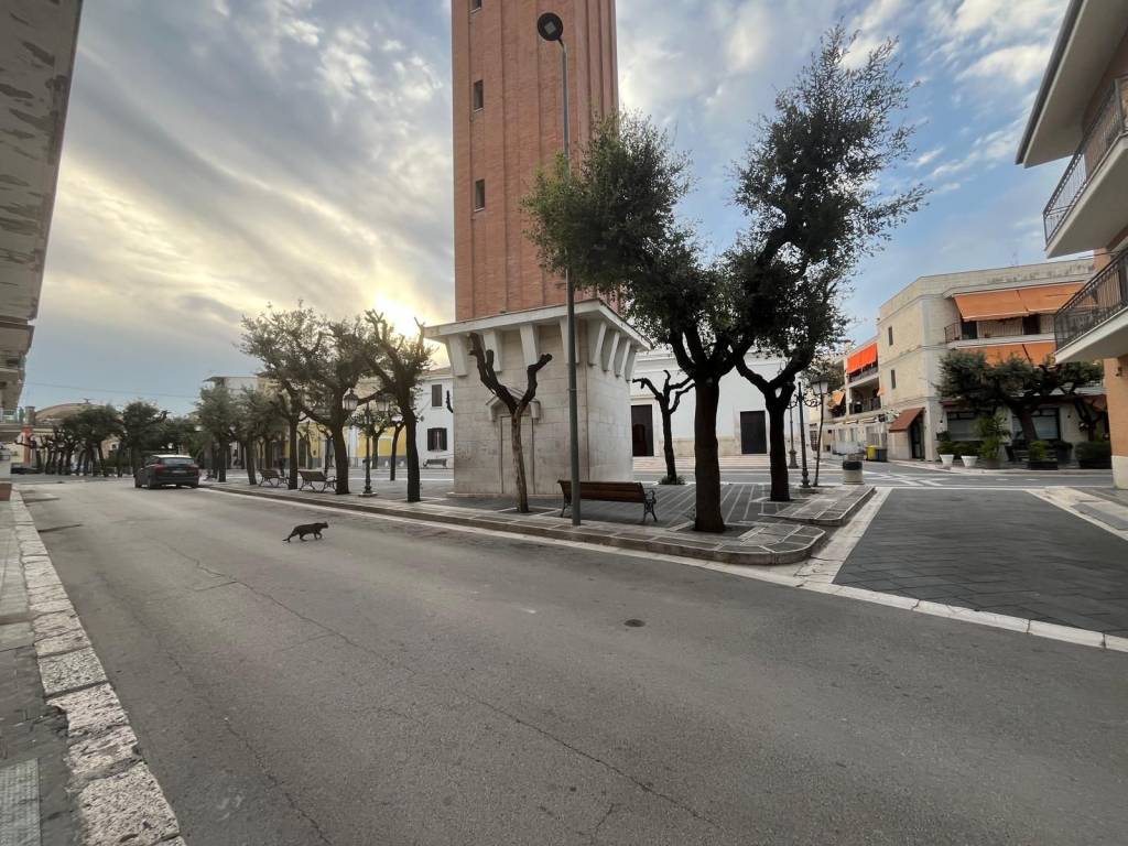 Appartamento a Stornara in Via Cavour - Foto 2