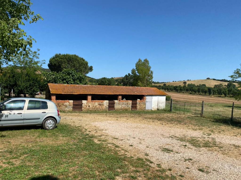 Rustico / casale a Magliano in toscana in Strada Provinciale di Montiano - Foto 3
