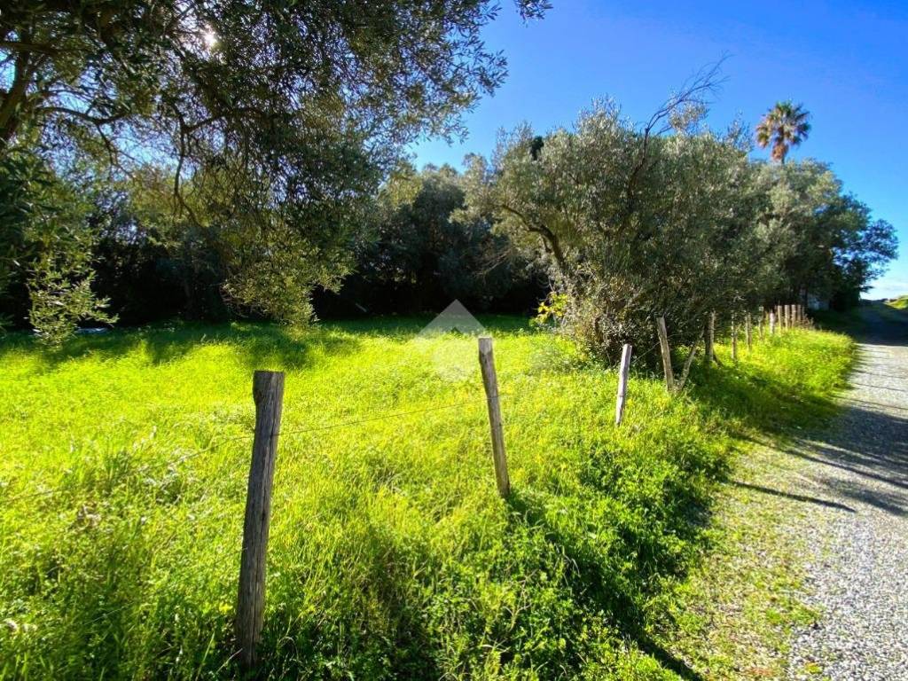 Terreno a Cetraro in Via degli Oleandri - Foto 3