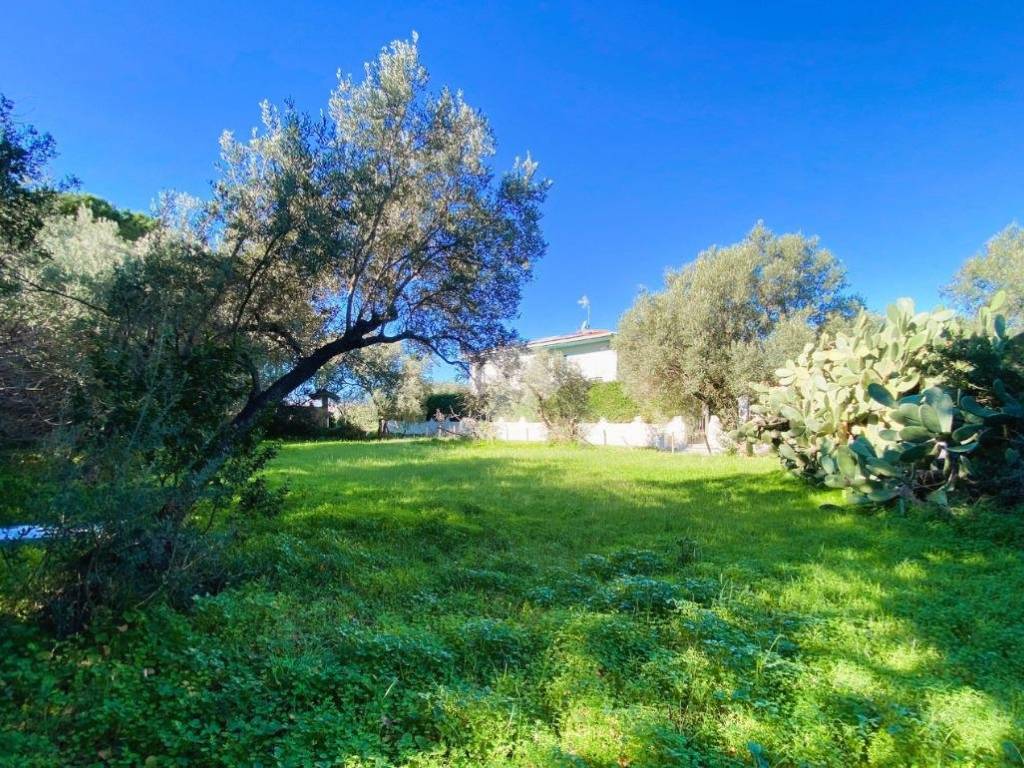 Terreno a Cetraro in Via degli Oleandri - Foto 4