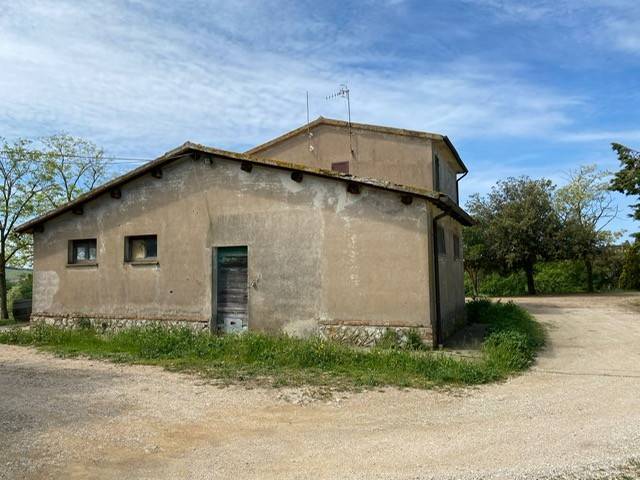 Rustico / casale a Magliano in toscana in Strada Provinciale di Montiano - Foto 3