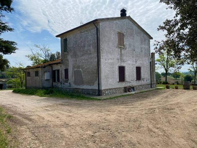Rustico / casale a Magliano in toscana in Strada Provinciale di Montiano - Foto 4