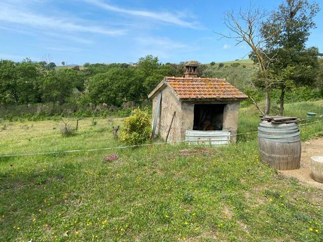 Rustico / casale a Magliano in toscana in Strada Provinciale di Montiano - Foto 5
