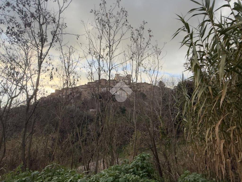Terreno a Castelnuovo di porto in Via marcantonio colonna, 60 - Foto 2
