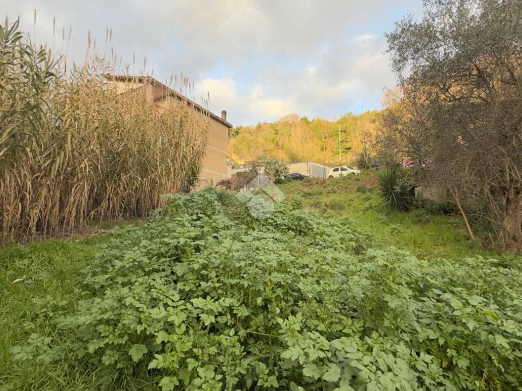 Terreno a Castelnuovo di porto in Via marcantonio colonna, 60 - Foto 3