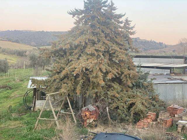 Rustico / casale a Magliano in toscana in Strada di Cupi - Foto 4