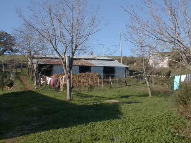 Rustico / casale a Magliano in toscana in Strada Provinciale di Montiano - Foto 3