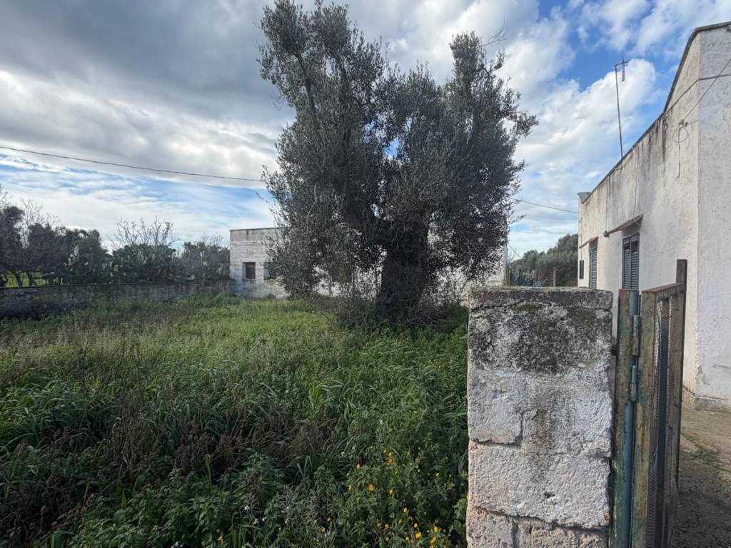 Rustico / casale a Ostuni in SP21 - Foto 5