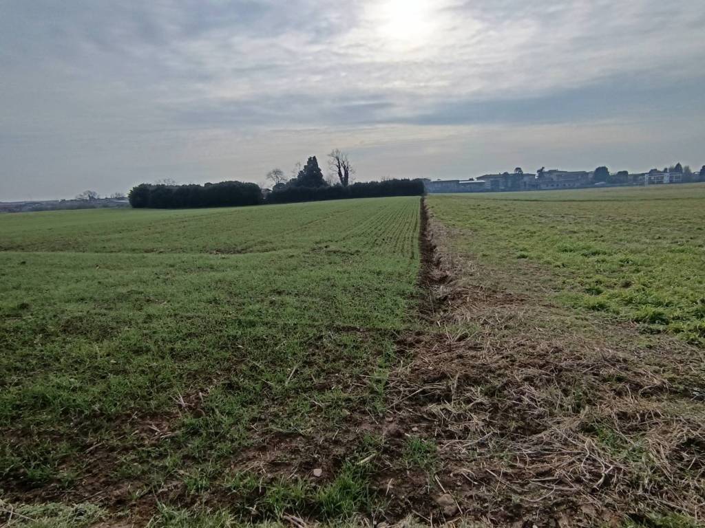 Terreno a Origgio in Via ai Ronchi - Foto 3