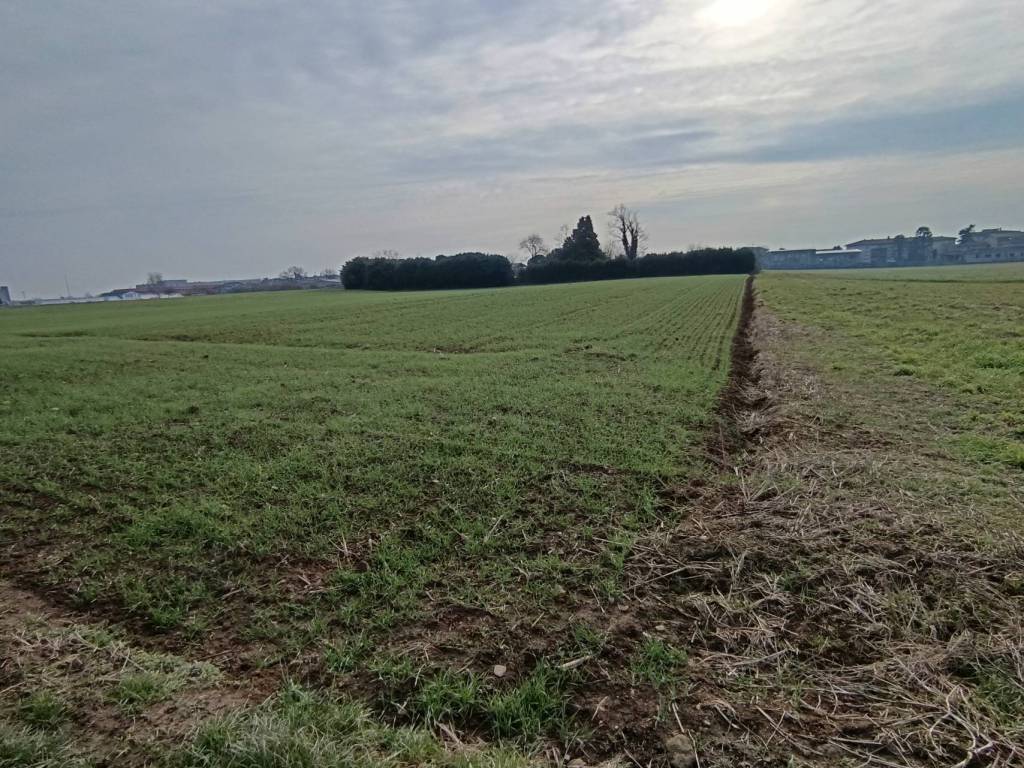 Terreno a Origgio in Via ai Ronchi - Foto 4
