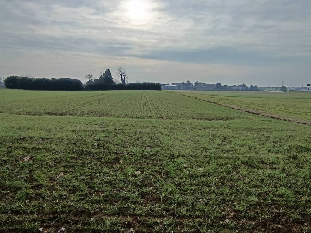 Terreno a Origgio in Via ai Ronchi - Foto 5