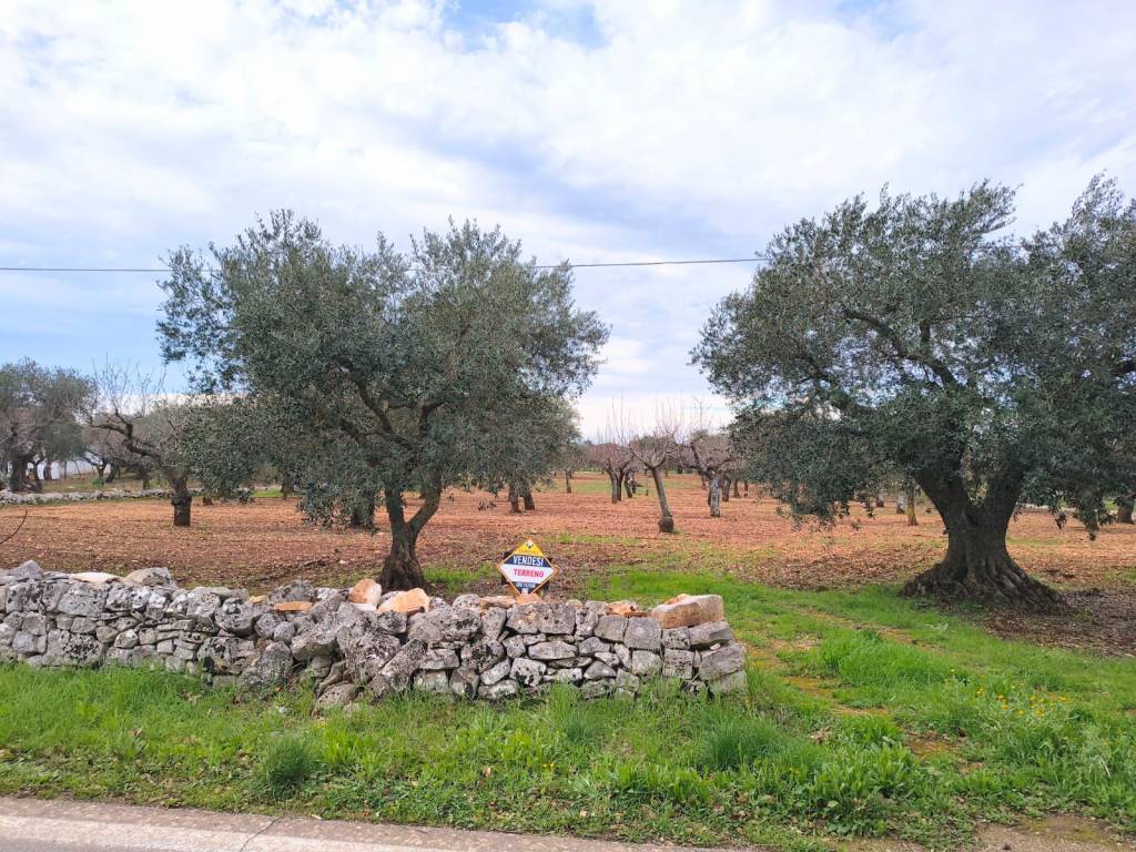 Terreno a Monopoli in Contrada Tortorella - Foto 2