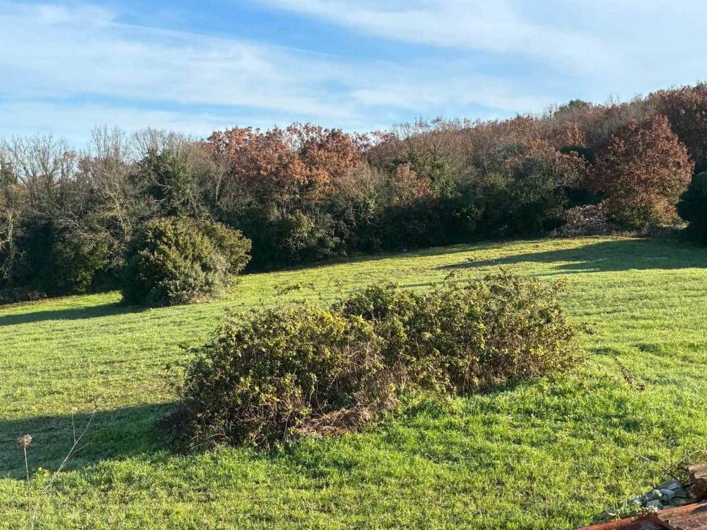 Rustico / casale a Martina franca in VIA PARETONE - Foto 5